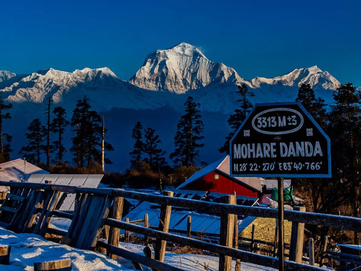 Mohare Danda Trek