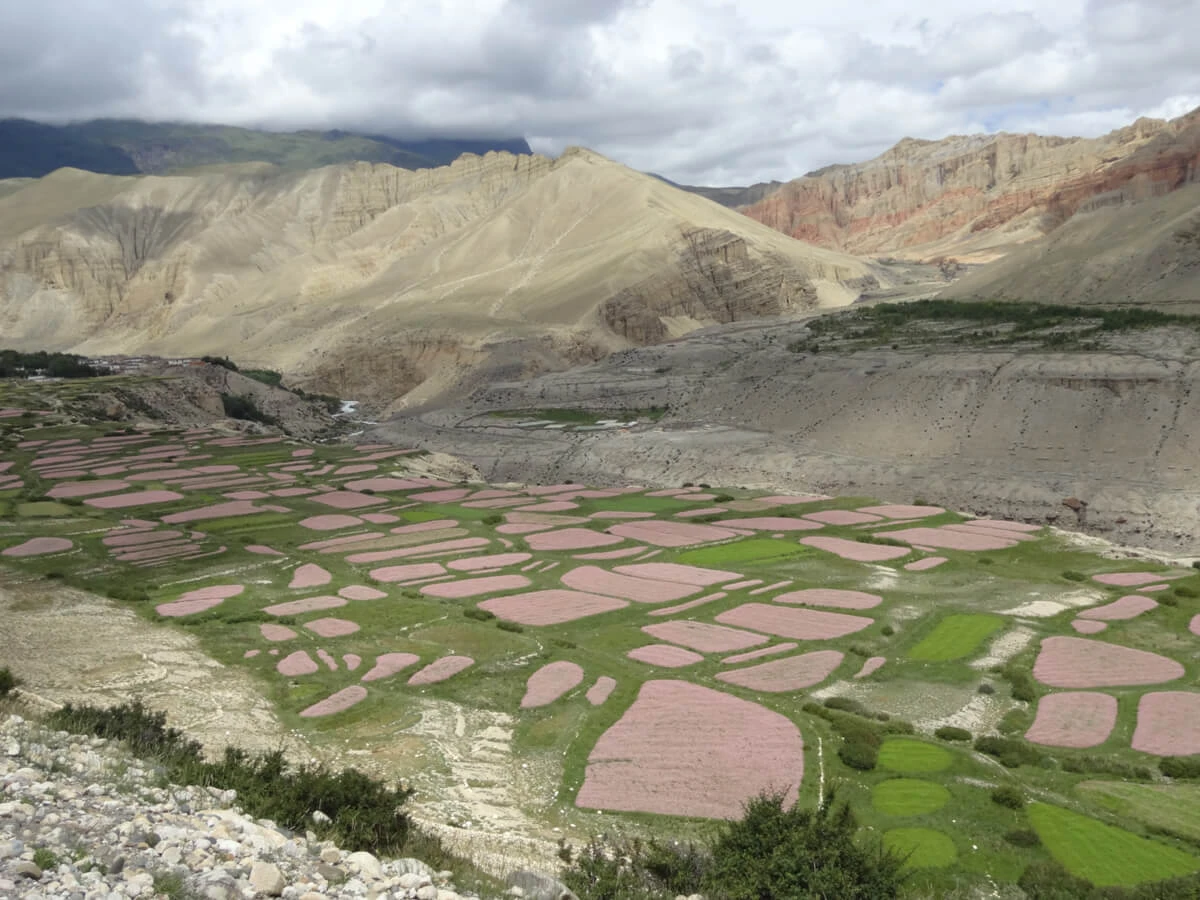 Upper Mustang Trekking with Luri Gumba