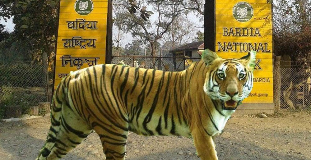 Bardia National Park