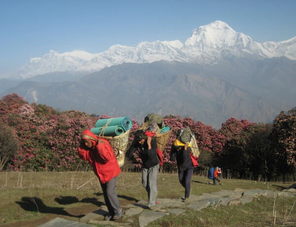 Poon Hill Trek