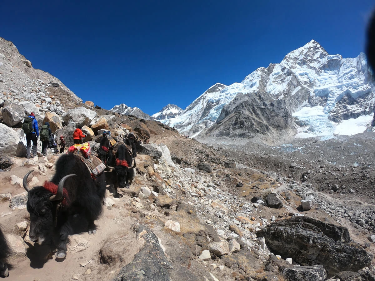  Aks In The Verest Base Camp