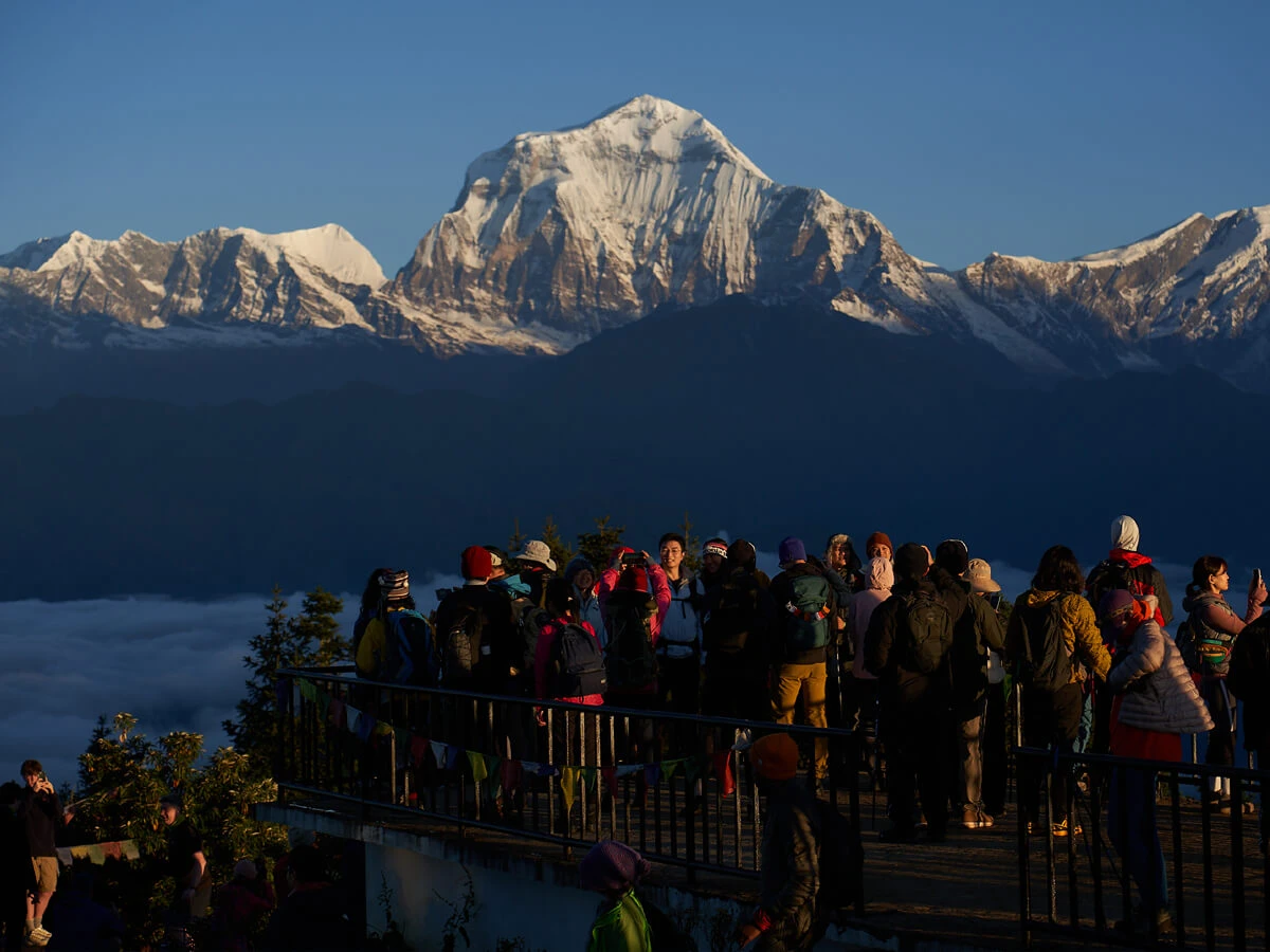 Haulagiri Mountain View From Poon Hill