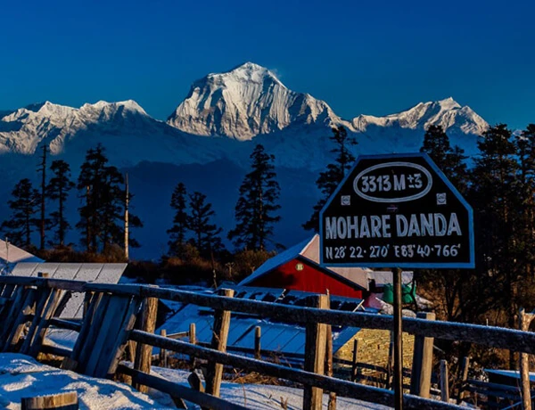 Mohare Danda Trek