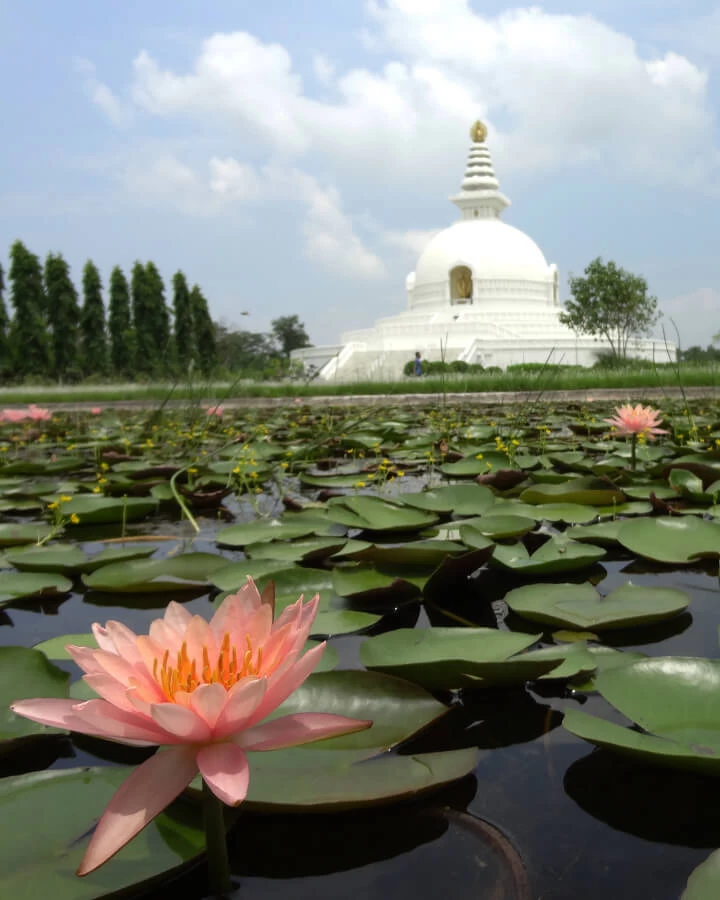 Peace Stupa at Lumbini