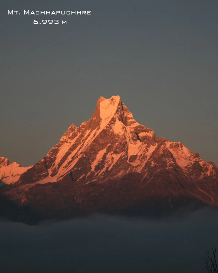 Mt. Machhapuchre Sunset View