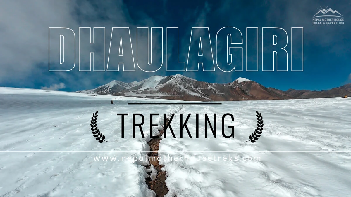 Dhaulagiri Circuit Trek Video