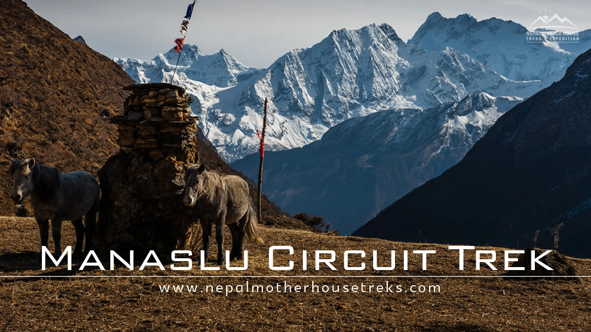 Manaslu Tsum Valley Trek Video